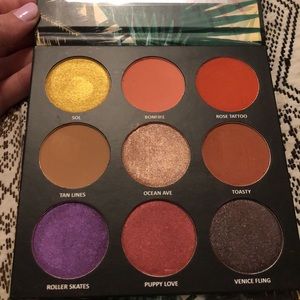 Venice Fling Bailey Sarian palette